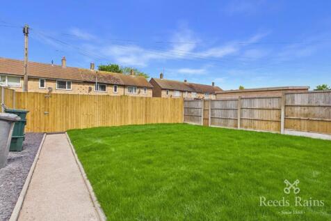 Back Garden