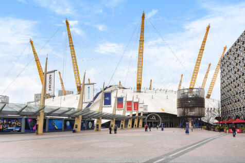 O2.jpeg