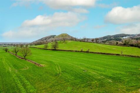 DJI_0290.jpg