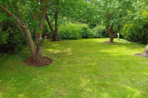Orchard