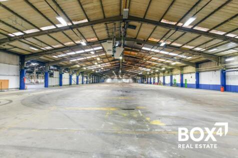 DSC_72342 lighter.jpg