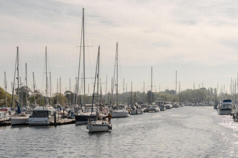 276359 - Oyster Catcher-1.jpg