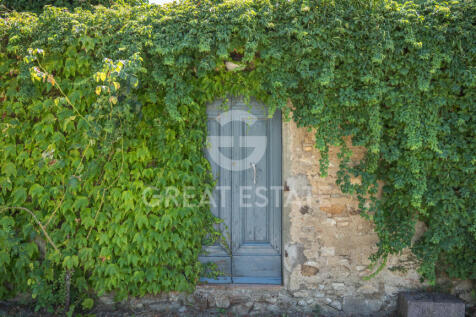 Panorama e Particolari