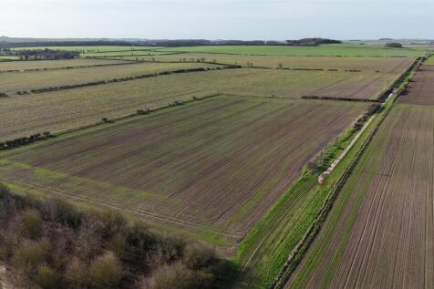DJI_20260217101528_0036_D.JPG