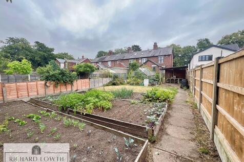 Lovely Garden
