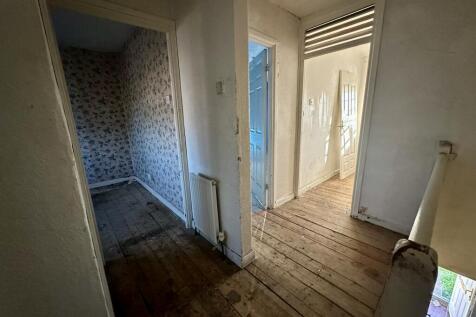 IMG 4194 T202511291136.jpeg