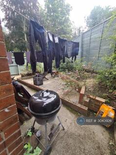Back Garden