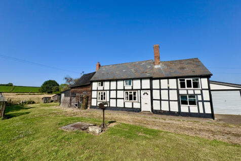 Yew Tree Front 3
