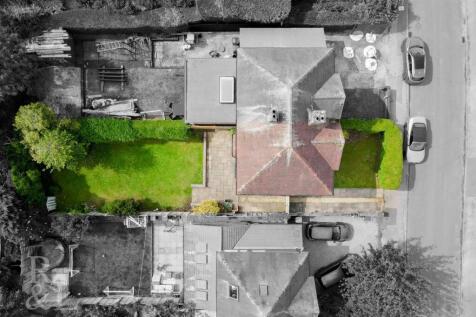 DJI_0919.jpg