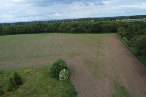 DJI_0484.JPG