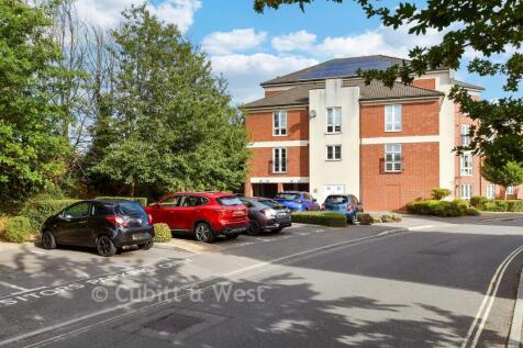Driveway/Parking