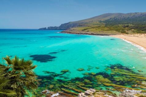 C3_Royal_Blue_Cala M