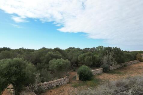 Aerial (10)