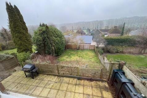 Garden 260126.jpg