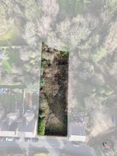 DJI_20260221103606_0319_D-Edit.jpg