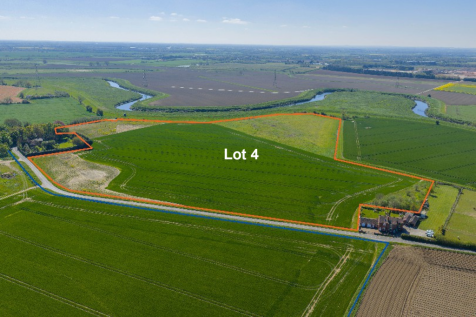 Farm Land for sale Image 4