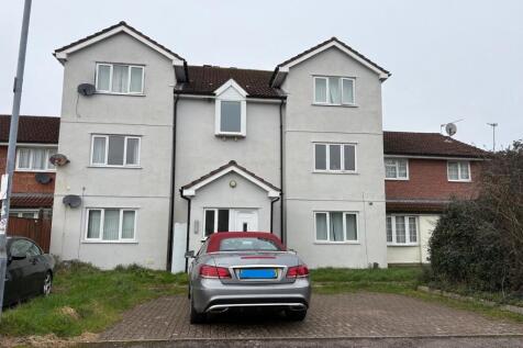 Pic 12 T202602261004.jpg