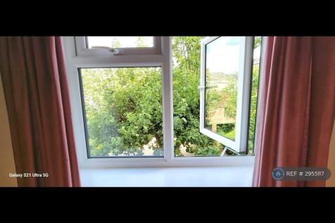View From Study Window
