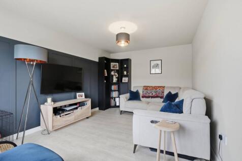 MFL0255602_412.jpg