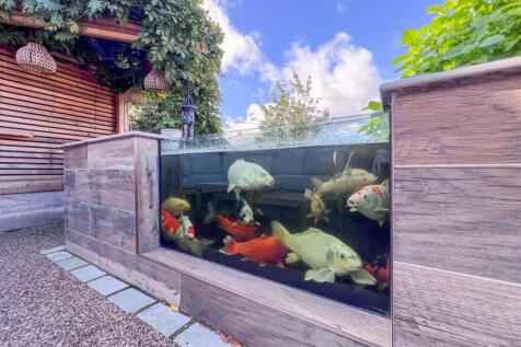 Raised Fish Pond