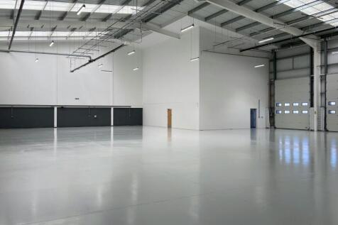 IMG_9215.jpg