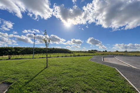 Sunlit Countryside Roadside Landscape.png