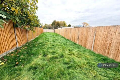 Back Garden 