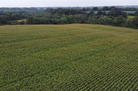 dji_fly_20250811_102646_281_1754904623254_photo_op