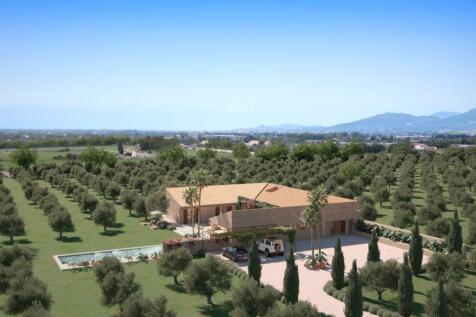 WhatsApp Image 2023-