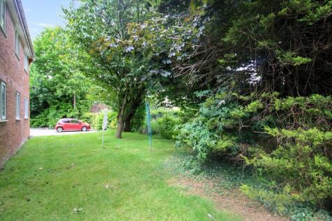 IMG_4714 - Copy.JPG
