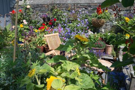 Property Image 31