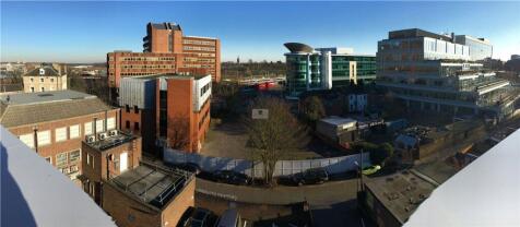Rooftop Garden View