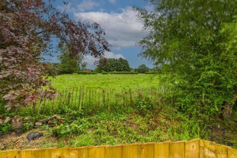 field views-2 copy.jpg