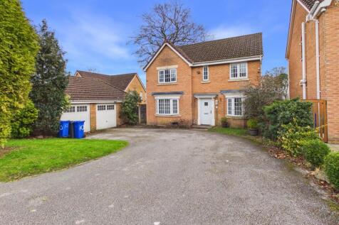 CAM03729G0-PR0248-STILL031