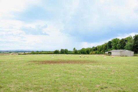 5.4 acres Paddock
