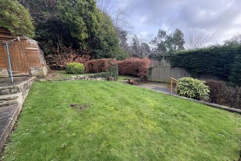 Pic 25.jpg