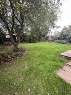 BACK GARDEN.jpg