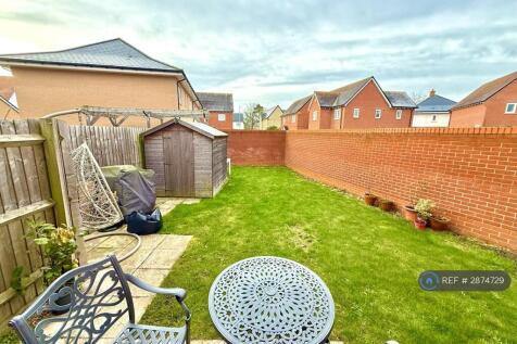Back Garden