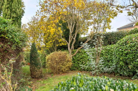 Property Image 41
