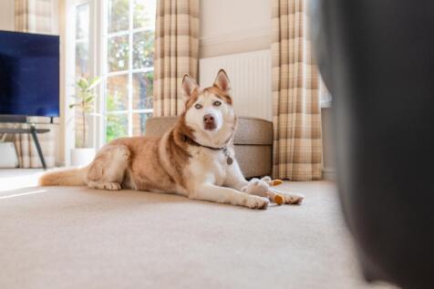 Award-winning Media team on EVERY Listing_3