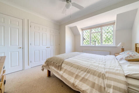 -687652415c5ae-l-...