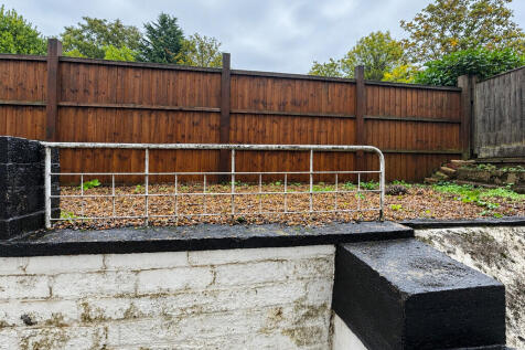 Dagnall Park, Selhurst Park photo 3