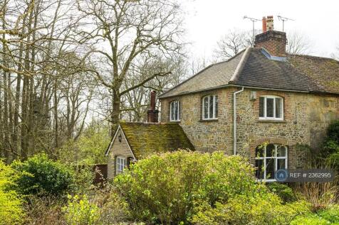Garden View To National Trust Rhododendron Wood