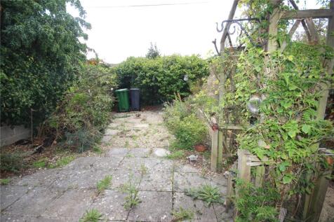 Picture 14