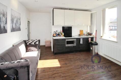 Lounge/Kitchen/Bedro