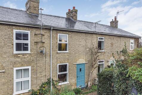 front shot lambs.jpg