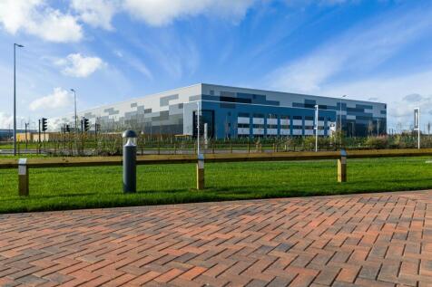 Eighty_Pan MK_20251113_0582.jpg