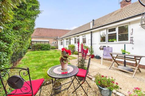 Back Garden