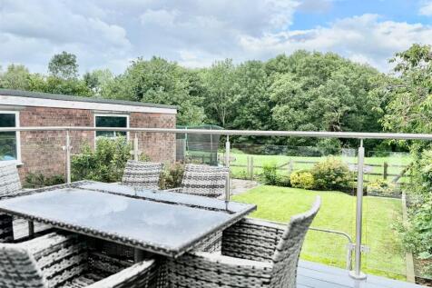 PHOTO-2025-07-15-10-12-27 2.jpg