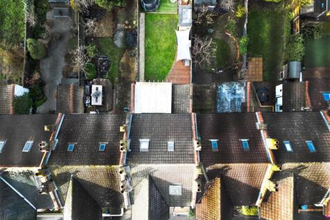 Plot Photo